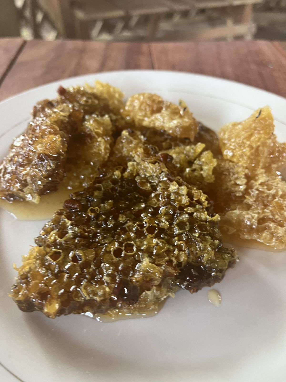 Honeycomb from the estate on a plate, photograph from April 2022