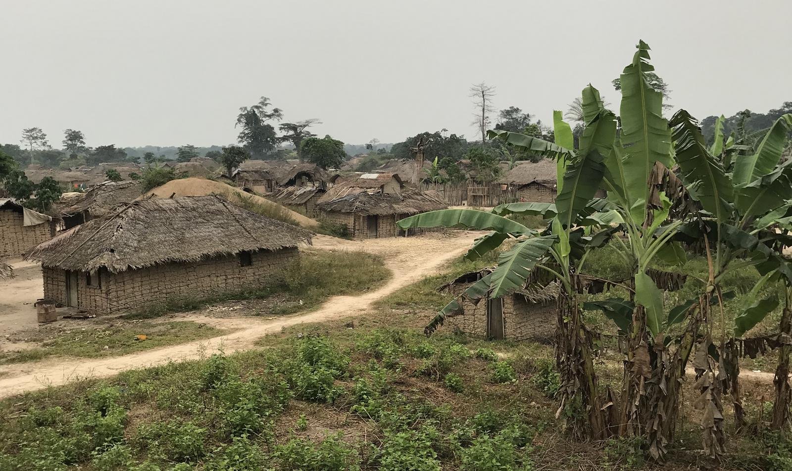 Village in the Likouala: thatched houses, dirt track and banana plants, photograph from January 2018